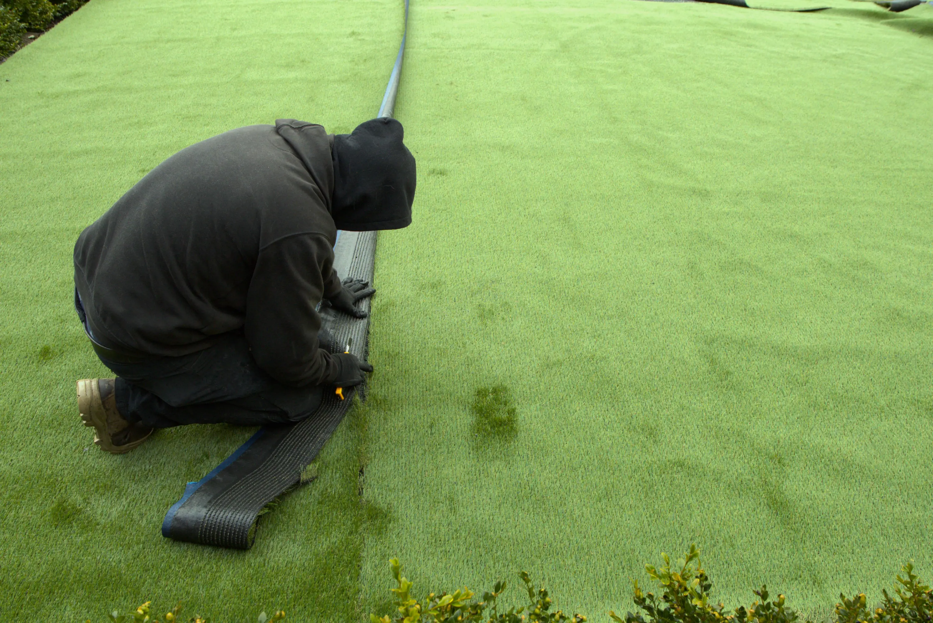 Turf Infill Cleaning And Deodorizing